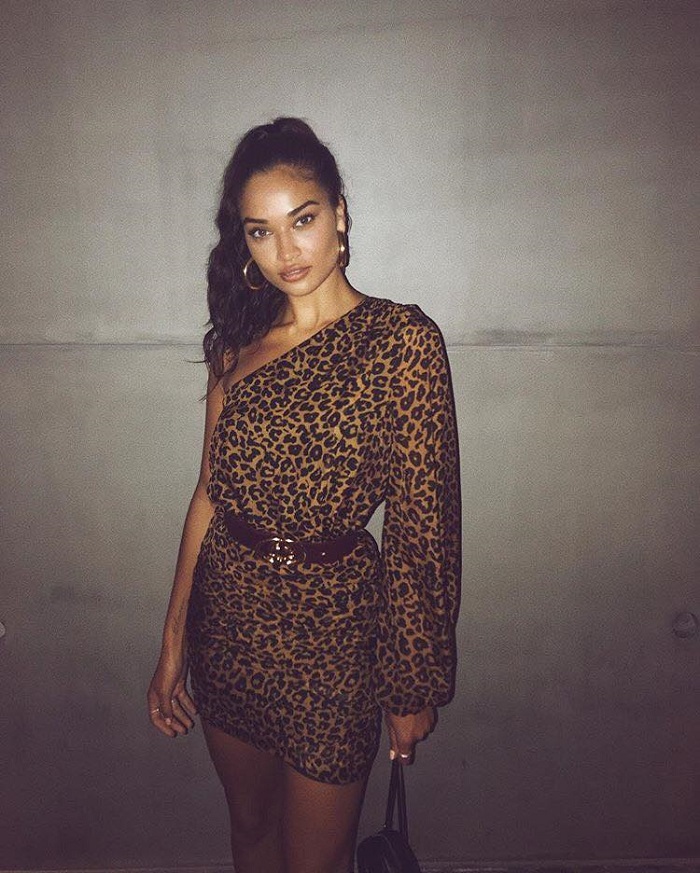 Celebs-Are-Working-The-Animal-Print-In-The-Sexiest-Possible-Ways ...