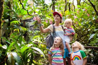 Family hiking in jungle. Mother and kids on a hike in tropical rainforest. Mom and children walk in exotic forest. Travel with child. Borneo jungle and mountains. Boy and girl explore nature in Asia.