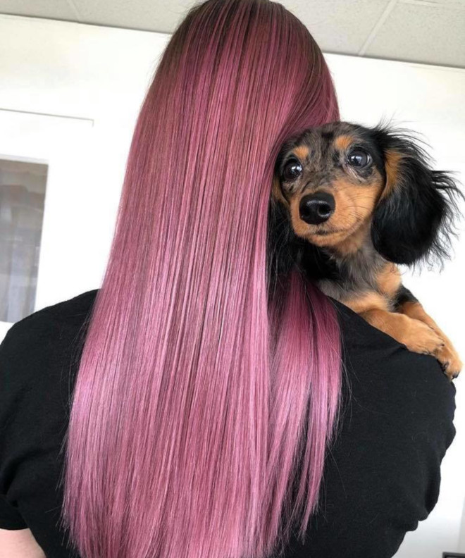 mauve hair colors for summer