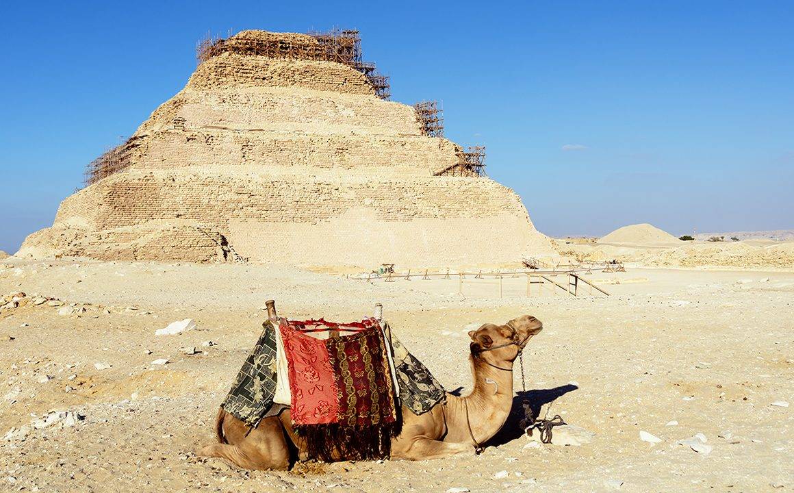 solo-traveling-to-egypt-uncommon-things-to-do-camel-sitting-in-the-sand-in-front-of-pyramid