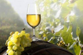wine-glass-sitting-outside-on-a-barrell-with-grapes