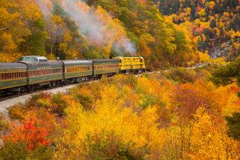 traveling-in-comfort-and-style-beautiful-image-of-train-in-countryside