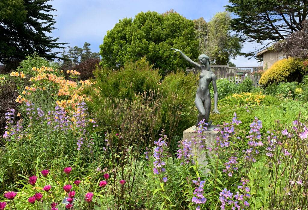 mendocino-heart-and-soul-of-california-mendocino-coast-botanical-gardens-1