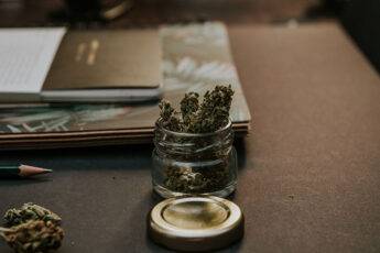weed-on-table